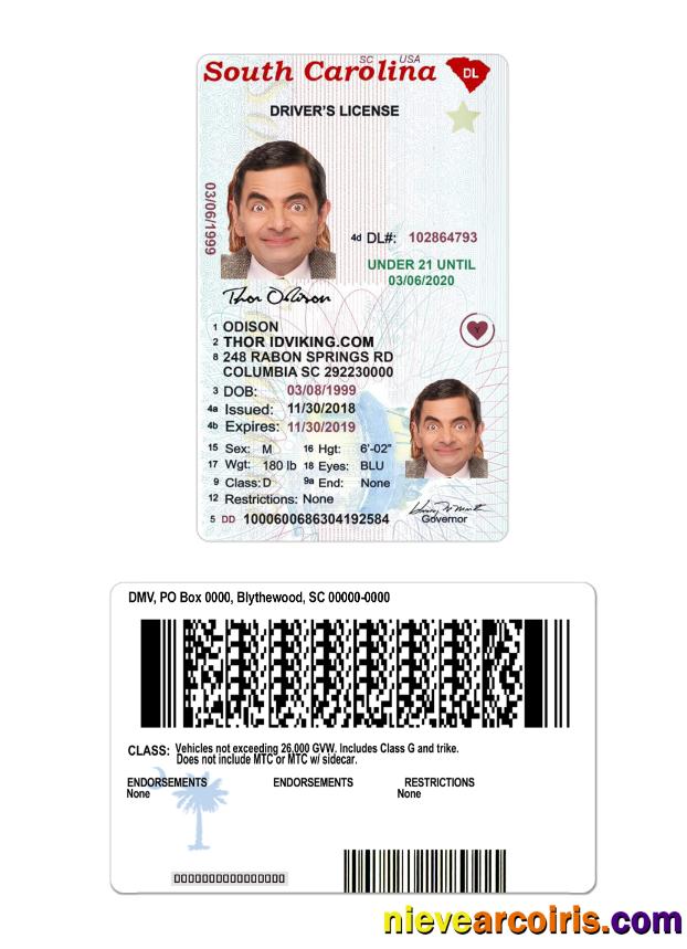 USA South Carolina driving license